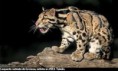 /album/fotogaleria/images-jpg/